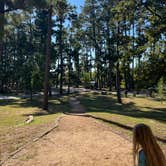Review photo of Bastrop State Park Campground by Chelsea G., September 17, 2023