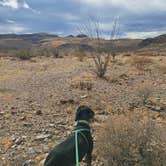 Review photo of Interior Primitive Sites — Big Bend Ranch State Park by amber H., February 15, 2026