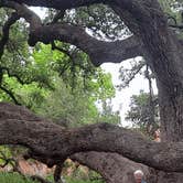 Review photo of Blanco State Park Campground by Jack C., May 2, 2024