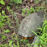 Review photo of Brazos Bend State Park Campground by Jim P., April 22, 2026