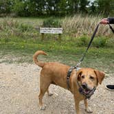 Review photo of Brazos Bend State Park Campground by Jim P., April 22, 2026