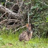 Review photo of Brazos Bend State Park Campground by Jim P., April 22, 2026