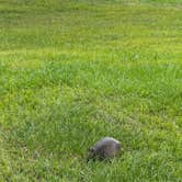 Review photo of Brazos Bend State Park Campground by Jim P., April 22, 2026