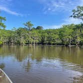 Review photo of Caddo Lake State Park Campground by Brian K., May 16, 2026