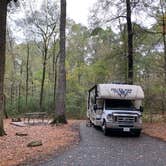 Review photo of Caddo Lake State Park Campground by Shawn , November 1, 2024