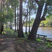 Review photo of Caddo Lake State Park Campground by Carlos M., July 13, 2026
