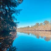 Review photo of Caddo Lake State Park Campground by Kara S., December 5, 2024