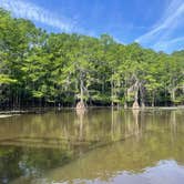 Review photo of Caddo Lake State Park Campground by Brian K., May 16, 2026