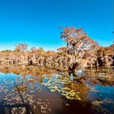 Review photo of Caddo Lake State Park Campground by Kara S., December 5, 2024