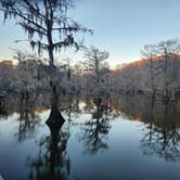 Review photo of Caddo Lake State Park Campground by Jim M., February 4, 2026