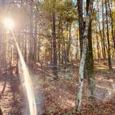 Review photo of Caddo Lake State Park Campground by Kara S., December 5, 2024