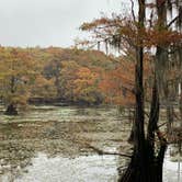 Review photo of Caddo Lake State Park Campground by Shawn , November 1, 2024