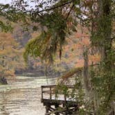 Review photo of Caddo Lake State Park Campground by Shawn , November 1, 2024