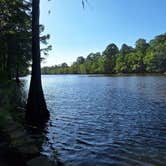 Review photo of Caddo Lake State Park Campground by Carlos M., July 13, 2026
