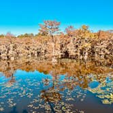 Review photo of Caddo Lake State Park Campground by Kara S., December 5, 2024