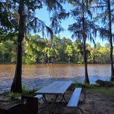 Review photo of Caddo Lake State Park Campground by Carlos M., July 13, 2026