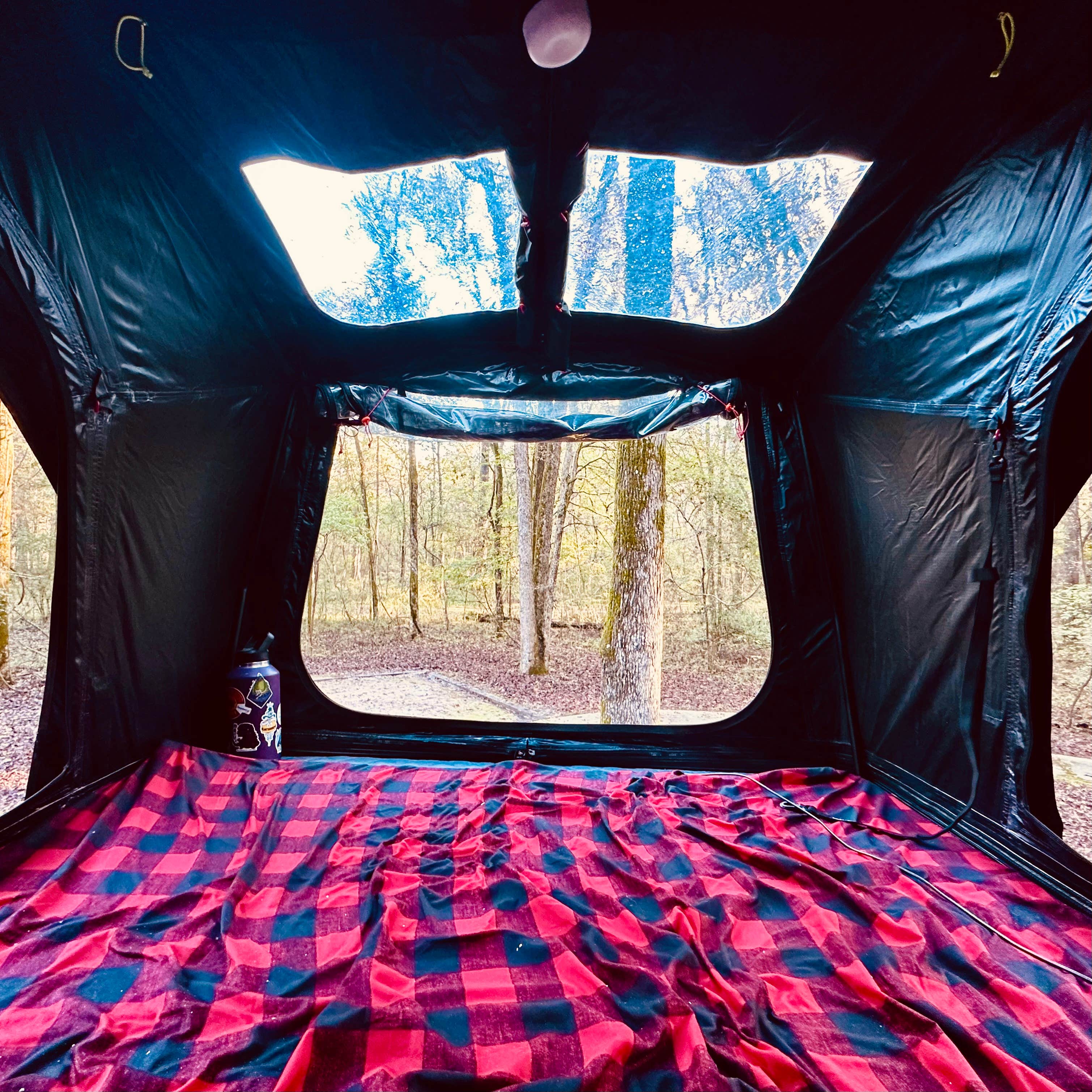 Kara S.'s photo at Caddo Lake State Park Campground near Tatum, TX