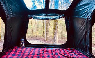 Kara S.'s photo at Caddo Lake State Park Campground near Shreveport, LA