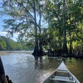 Review photo of Caddo Lake State Park Campground by Brian K., May 16, 2026