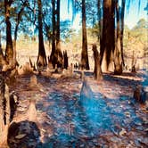 Review photo of Caddo Lake State Park Campground by Kara S., December 5, 2024