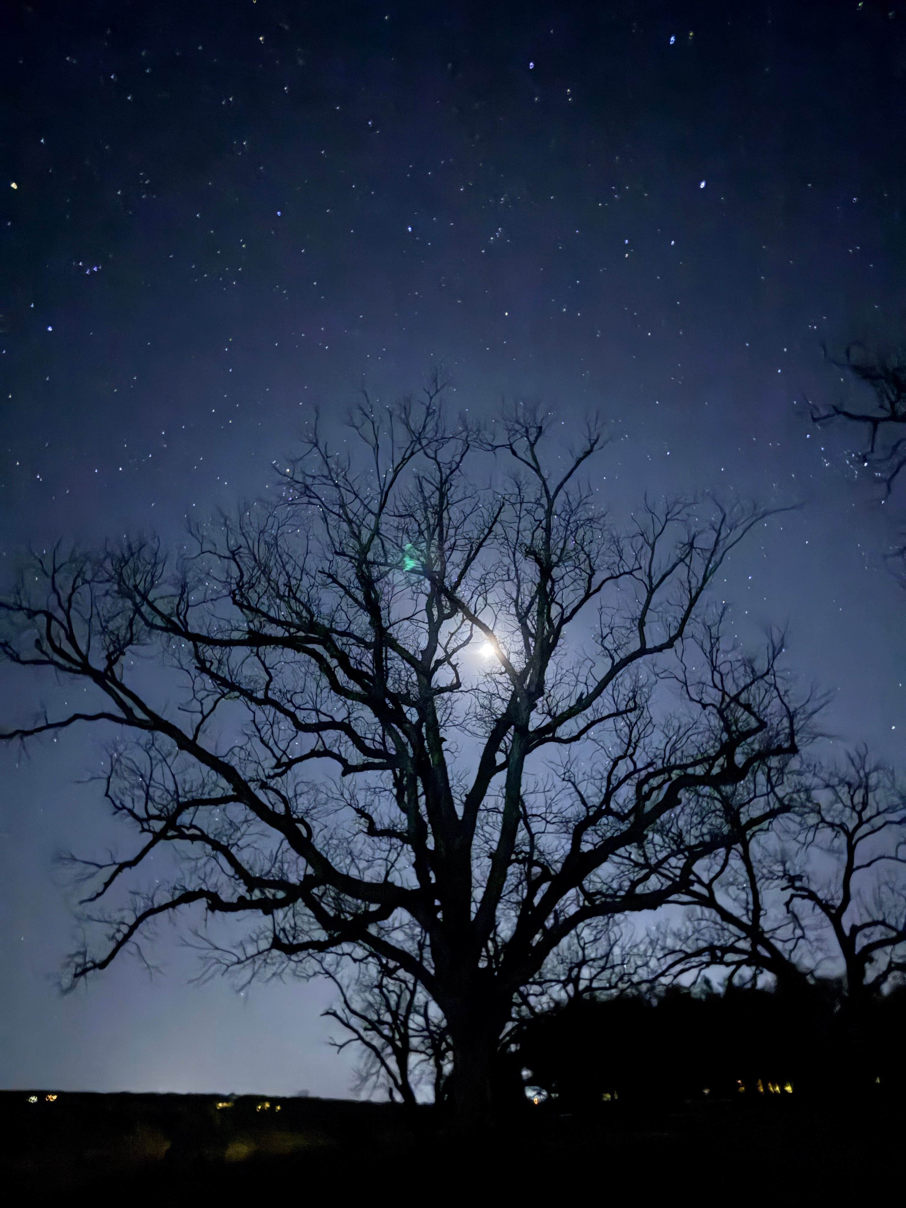 Camper-submitted photo at Camp Creek Recreation Area near Granger, TX