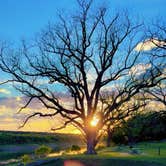 Review photo of Camp Creek Recreation Area by Alishah A., April 12, 2026