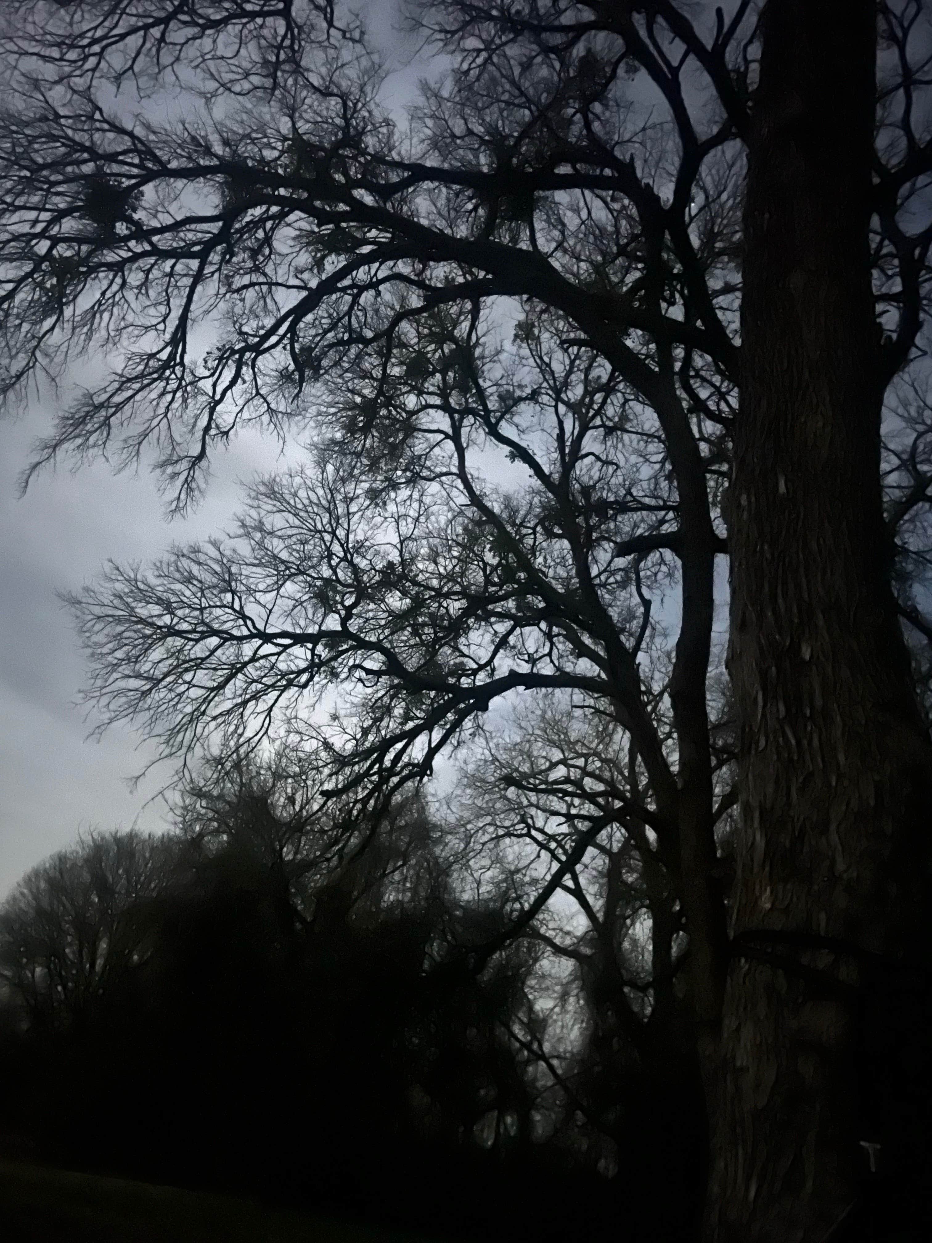 Camper-submitted photo at Chisholm Trail Park near Saginaw, TX