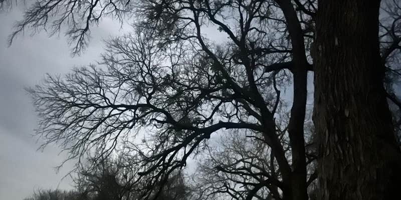 Camper submitted image from Chisholm Trail Park