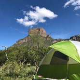 Review photo of Chisos Basin Campground — Big Bend National Park by Stacy M., March 27, 2024