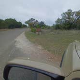 Review photo of Colorado Bend State Park Campground by Red S., April 4, 2025
