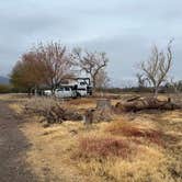 Review photo of Cottonwood Campground — Big Bend National Park by Ursula , January 25, 2026