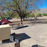 Review photo of Cottonwood Campground — Big Bend National Park by Leonard H., March 13, 2026