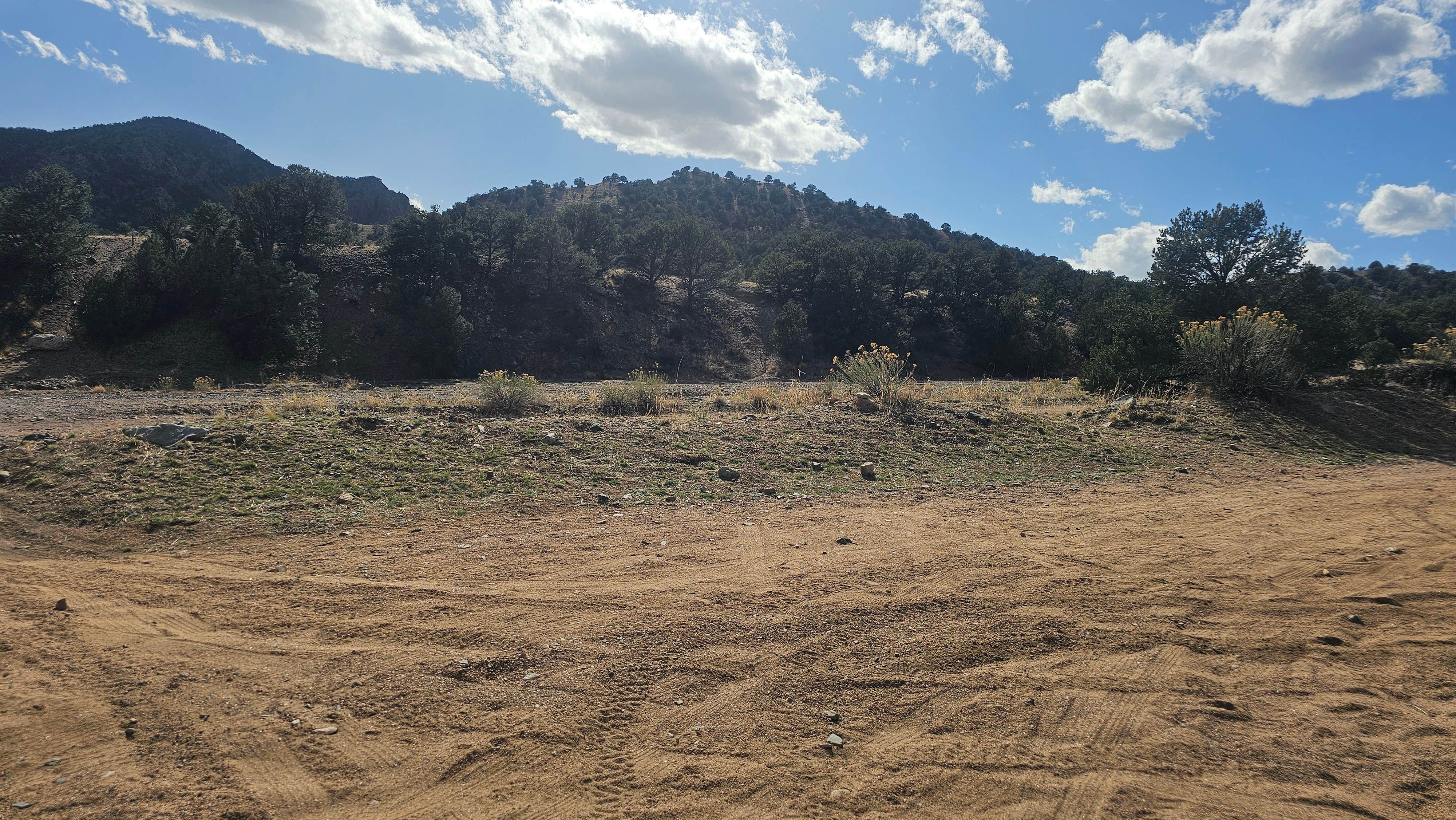 Camper-submitted photo at Texas Creek Dispersed OHV near Howard, CO
