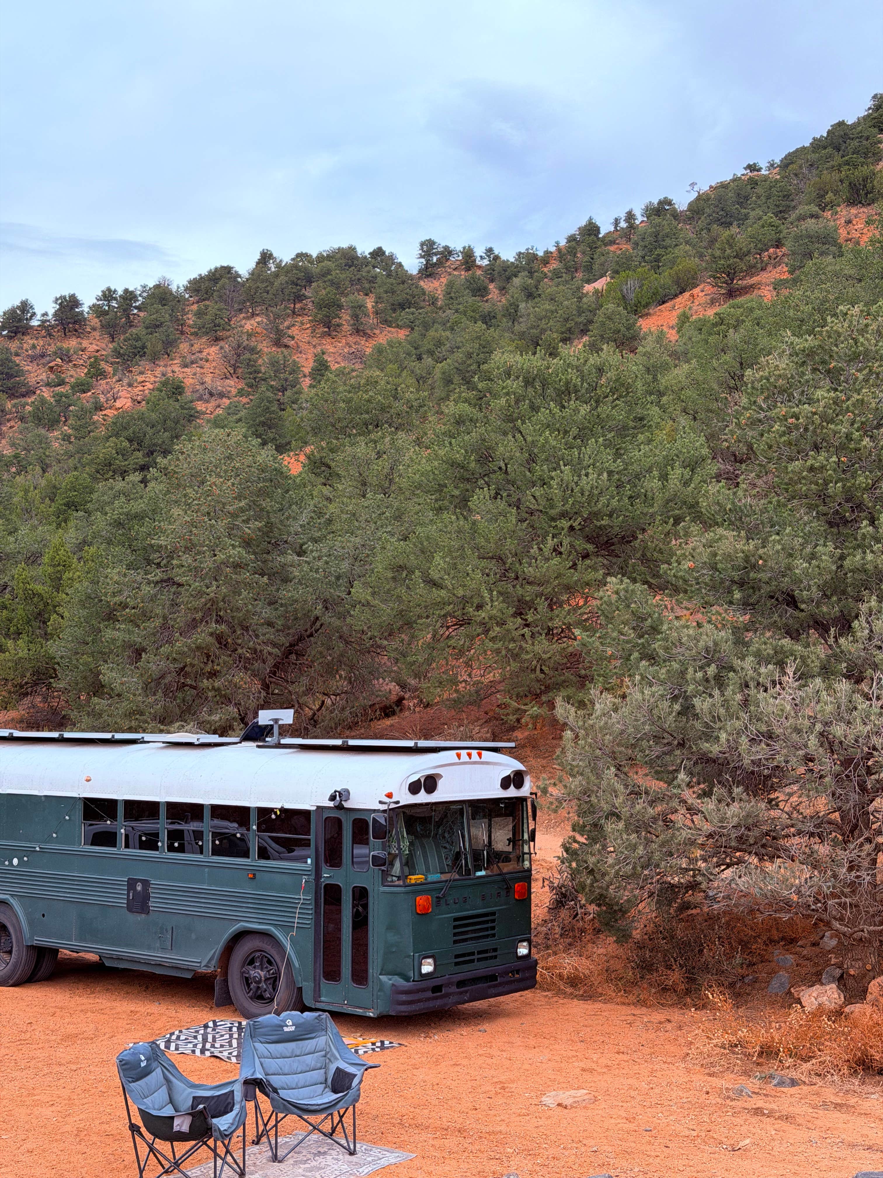 Camper submitted image from Texas Creek Dispersed OHV - 1