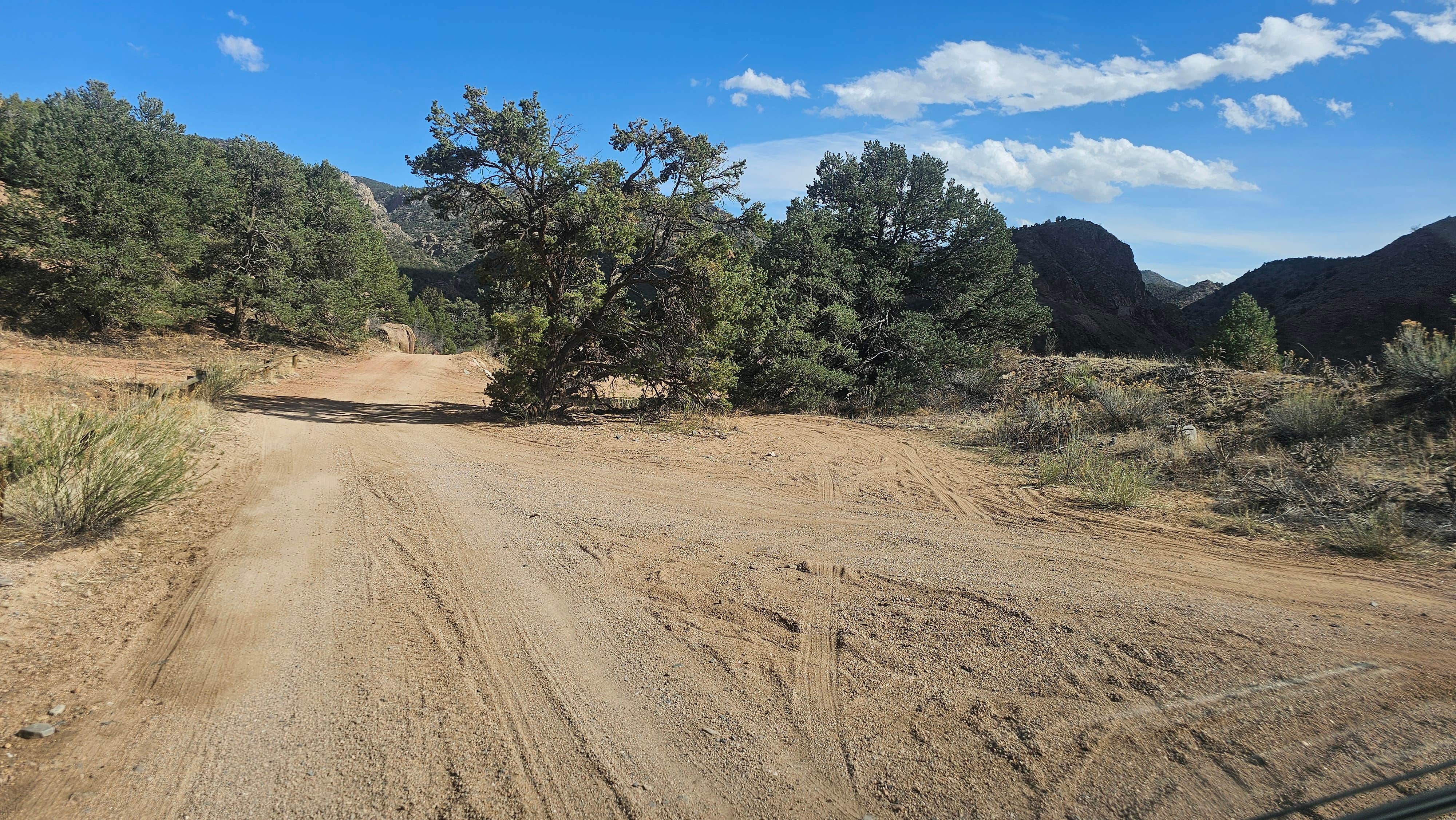 Camper-submitted photo at Texas Creek Dispersed OHV near Howard, CO