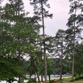 Review photo of Daingerfield State Park Campground by Robert G., June 25, 2025