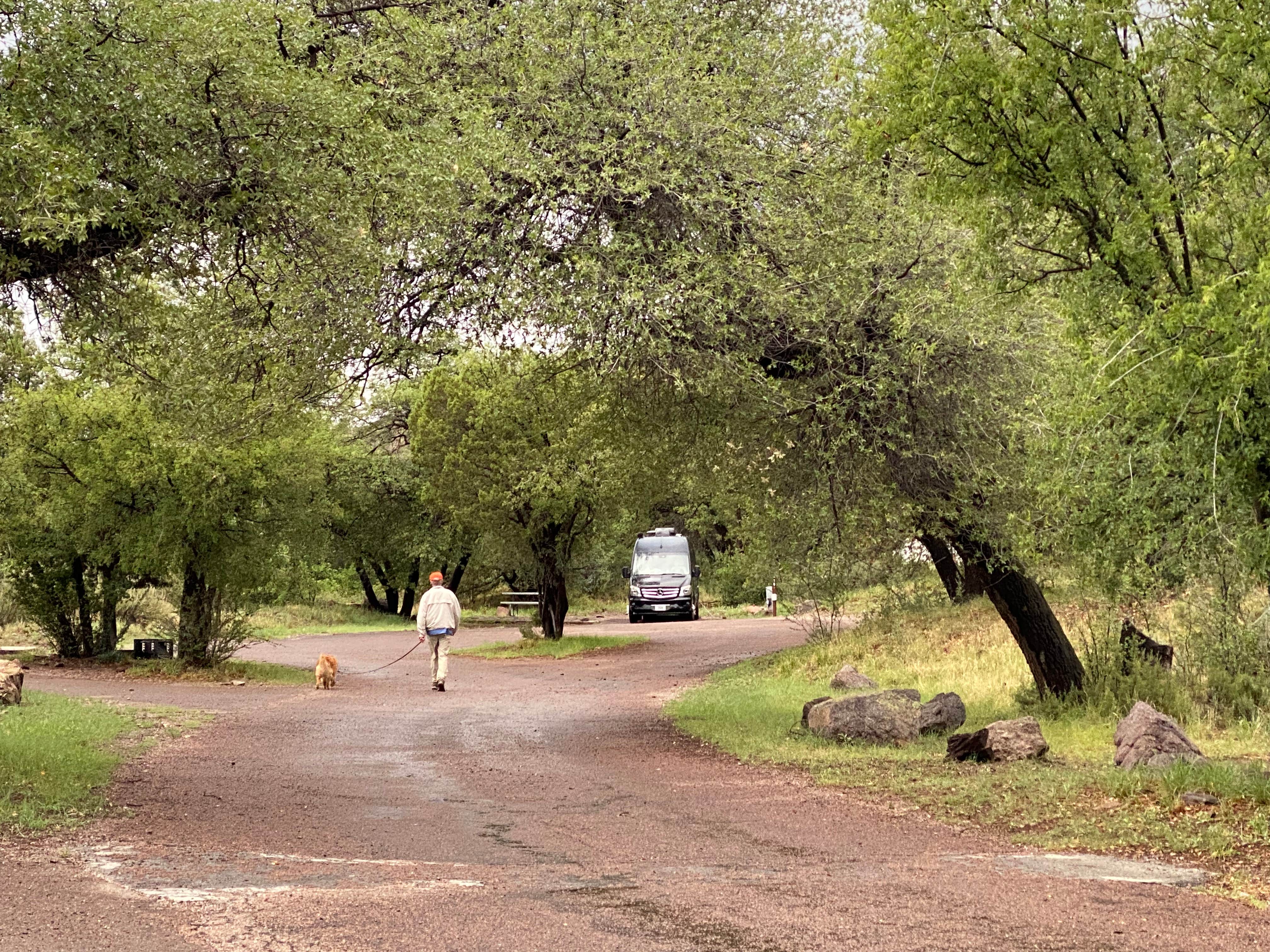 Lai La L.'s photo of camping with pets at Davis Mountains State Park Campground near Fort Davis, TX