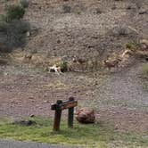 Review photo of Davis Mountains State Park Campground by Melissa R., June 3, 2025