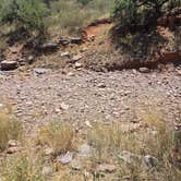 Review photo of Davis Mountains State Park Campground by Chris G., September 20, 2026