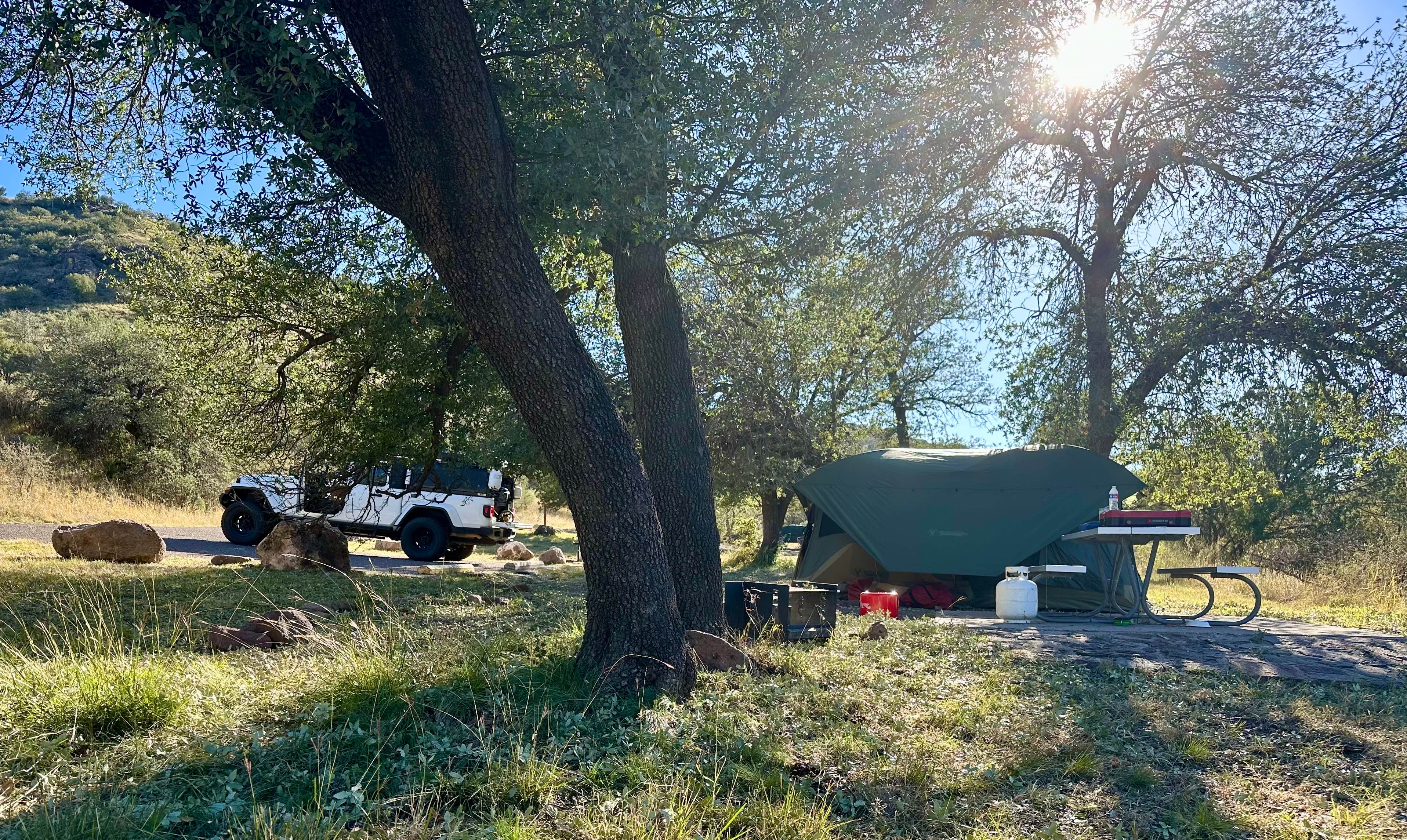 Fraun P.'s photo of tent camping at Davis Mountains State Park Campground near Fort Davis, TX