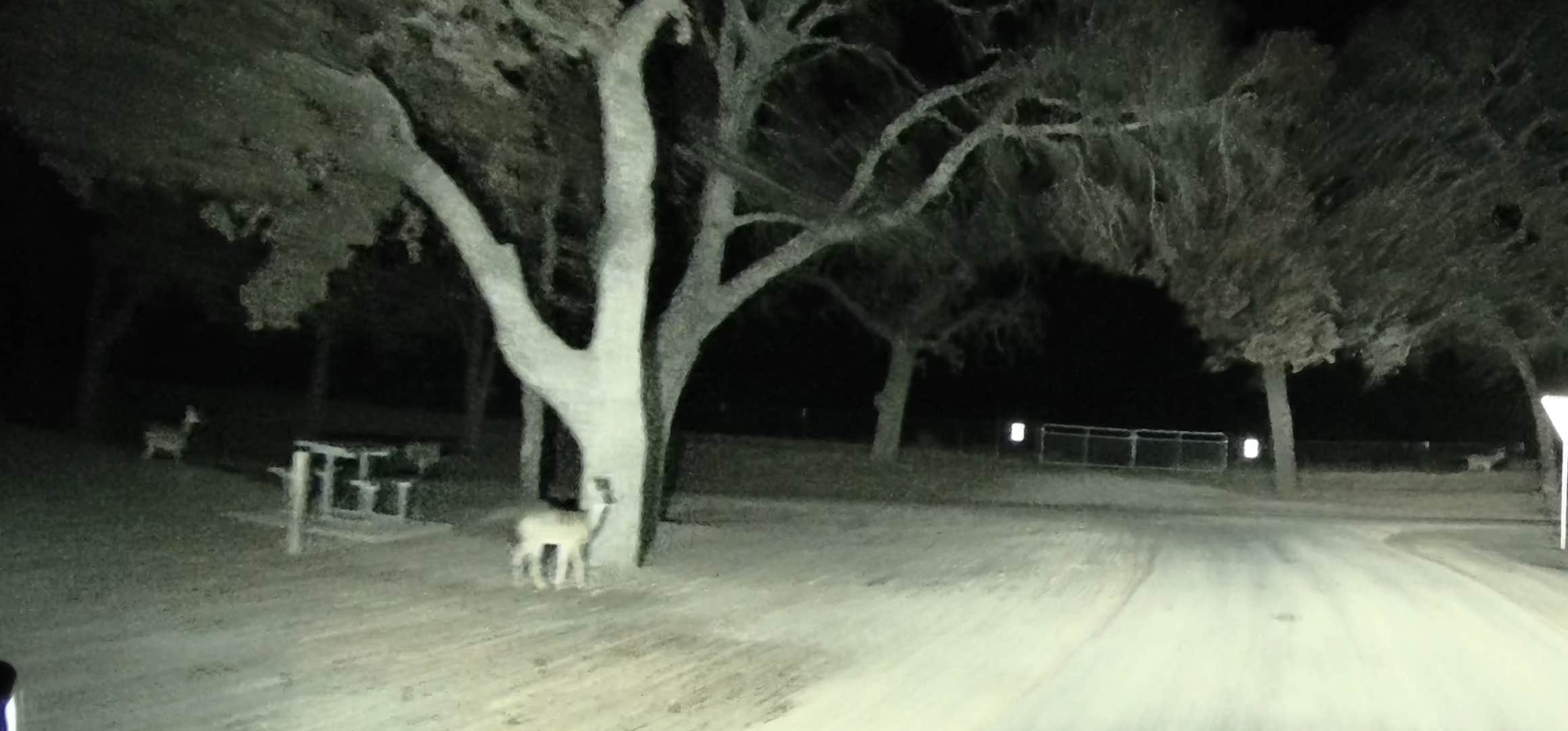 Camper-submitted photo at De Cordova Bend near Cleburne, TX