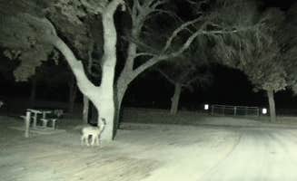 Jason's photo of camping with pets at De Cordova Bend near Fort Worth, TX