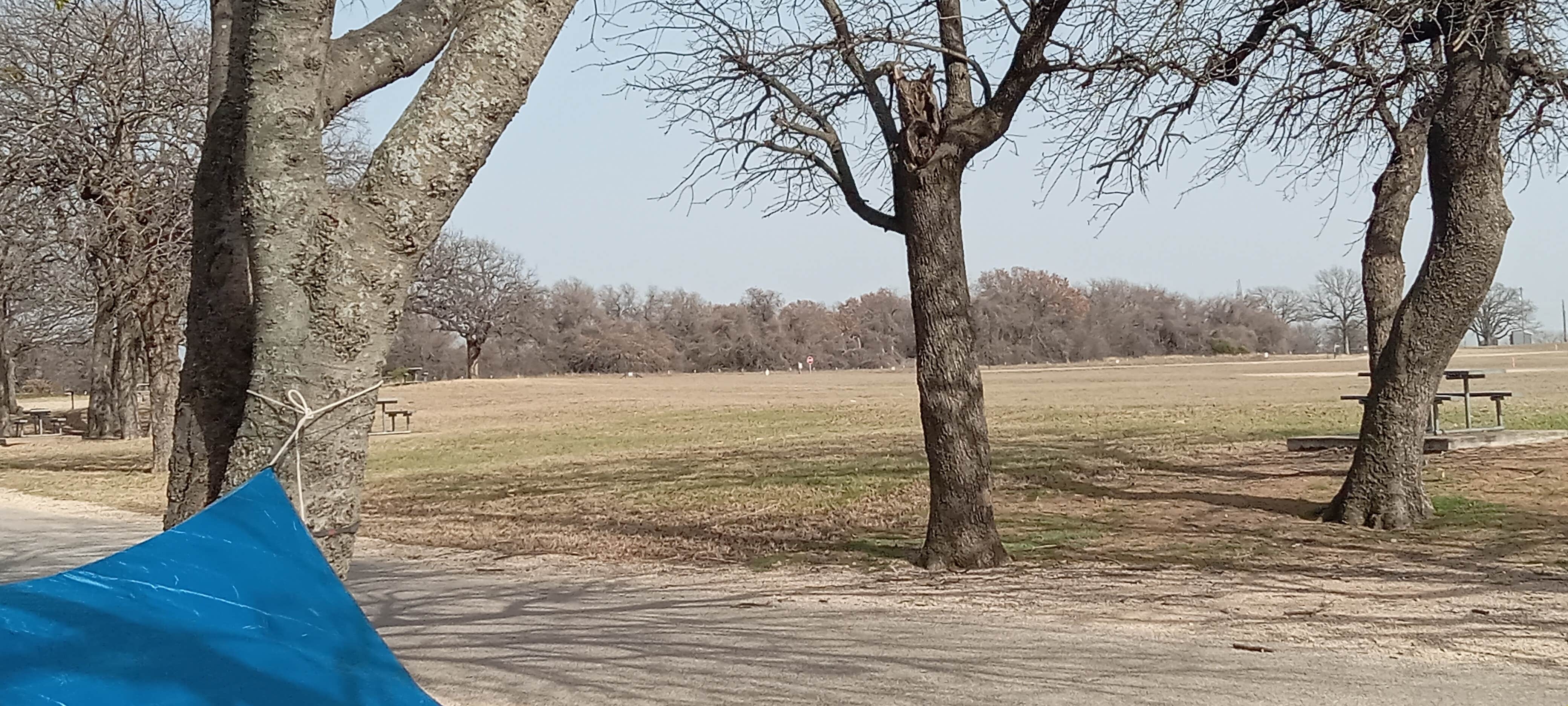 Camper-submitted photo at De Cordova Bend near Cleburne, TX