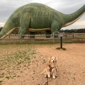 Review photo of Dinosaur Valley State Park — Dinosaur Valley State Park by Lucy P., March 22, 2024