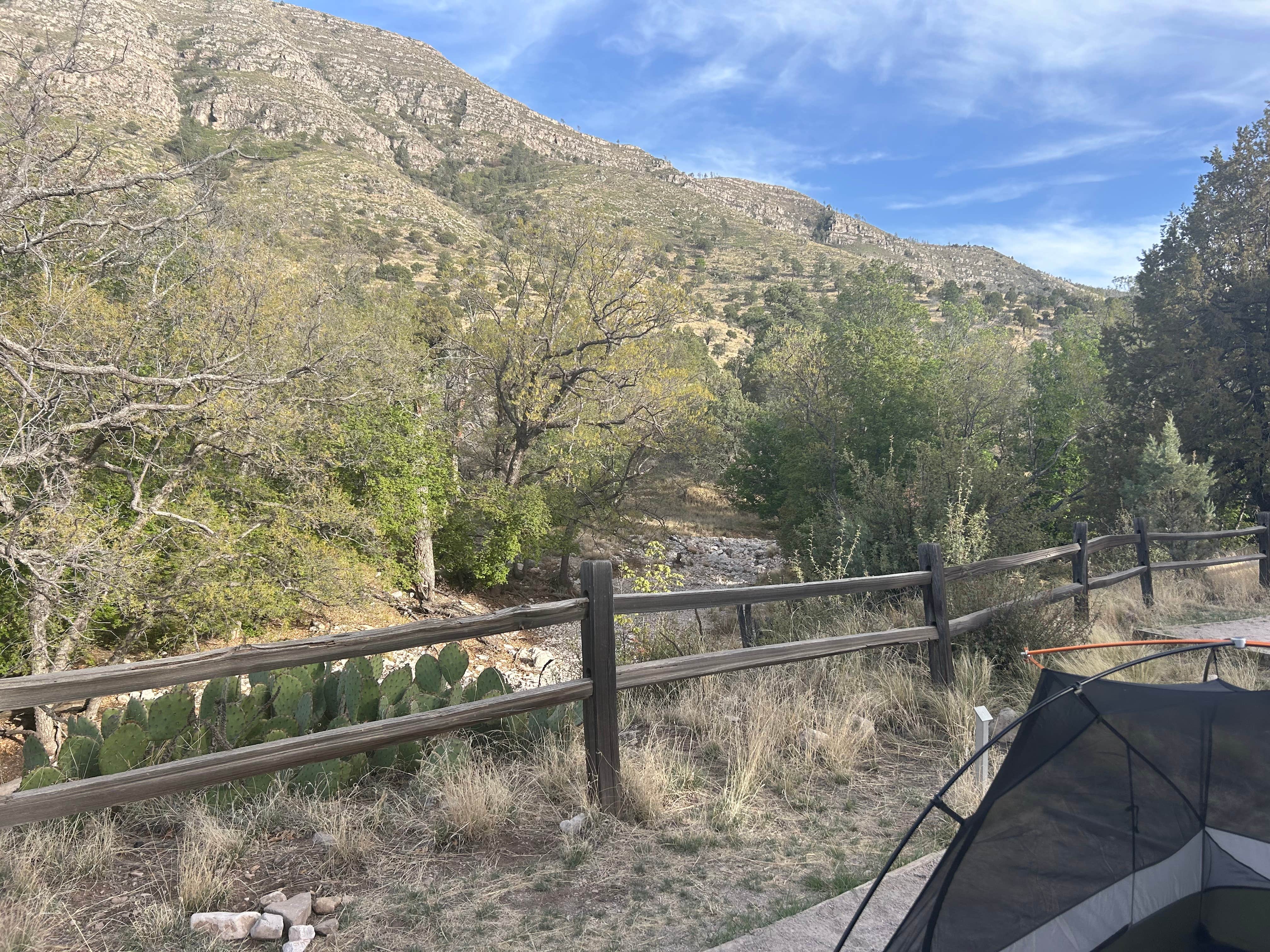 Allison G.'s photo at Dog Canyon Campground — Guadalupe Mountains National Park near Whites City, NM