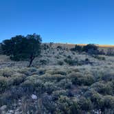 Review photo of Dog Canyon Campground — Guadalupe Mountains National Park by Roger W., May 4, 2024