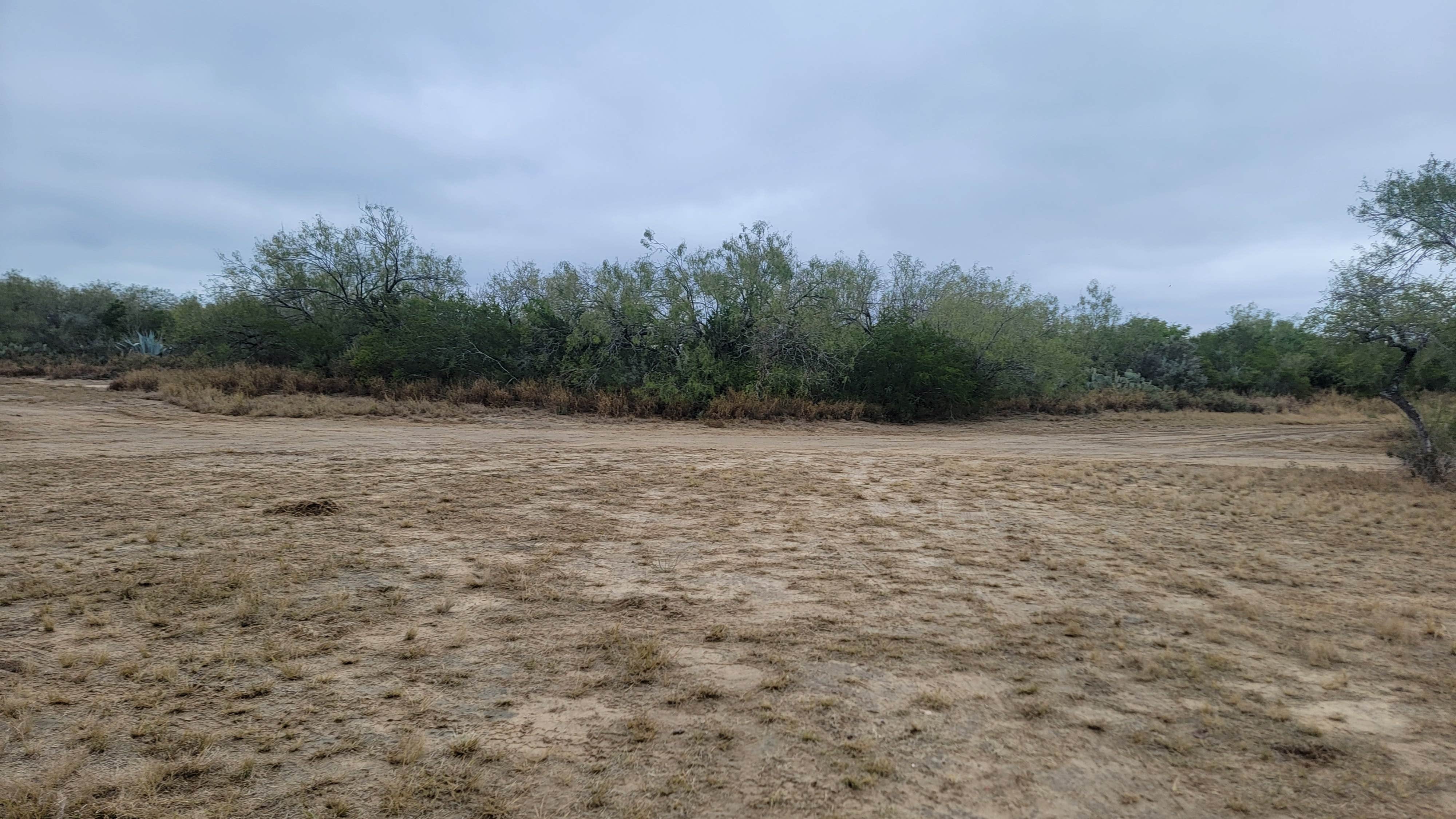 Camper-submitted photo at Falcon County Park near Roma, TX