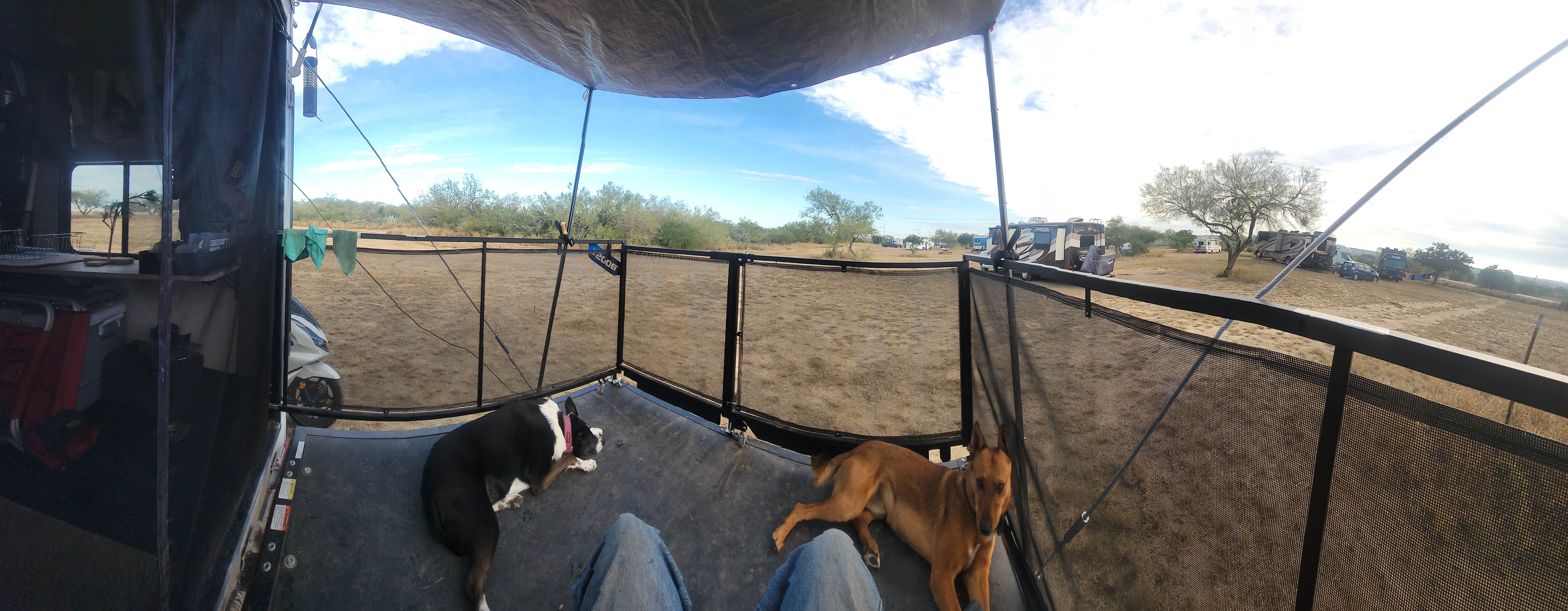 Camper submitted image from Falcon County Park - 2