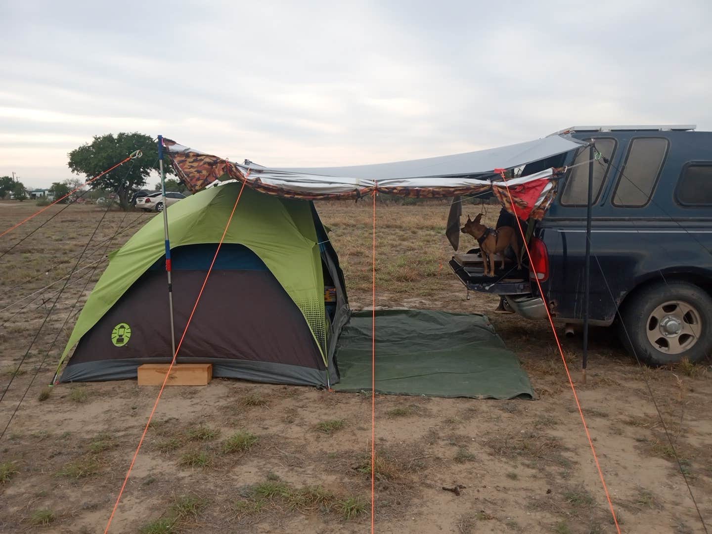 Camper-submitted photo at Falcon County Park near Medina, TX