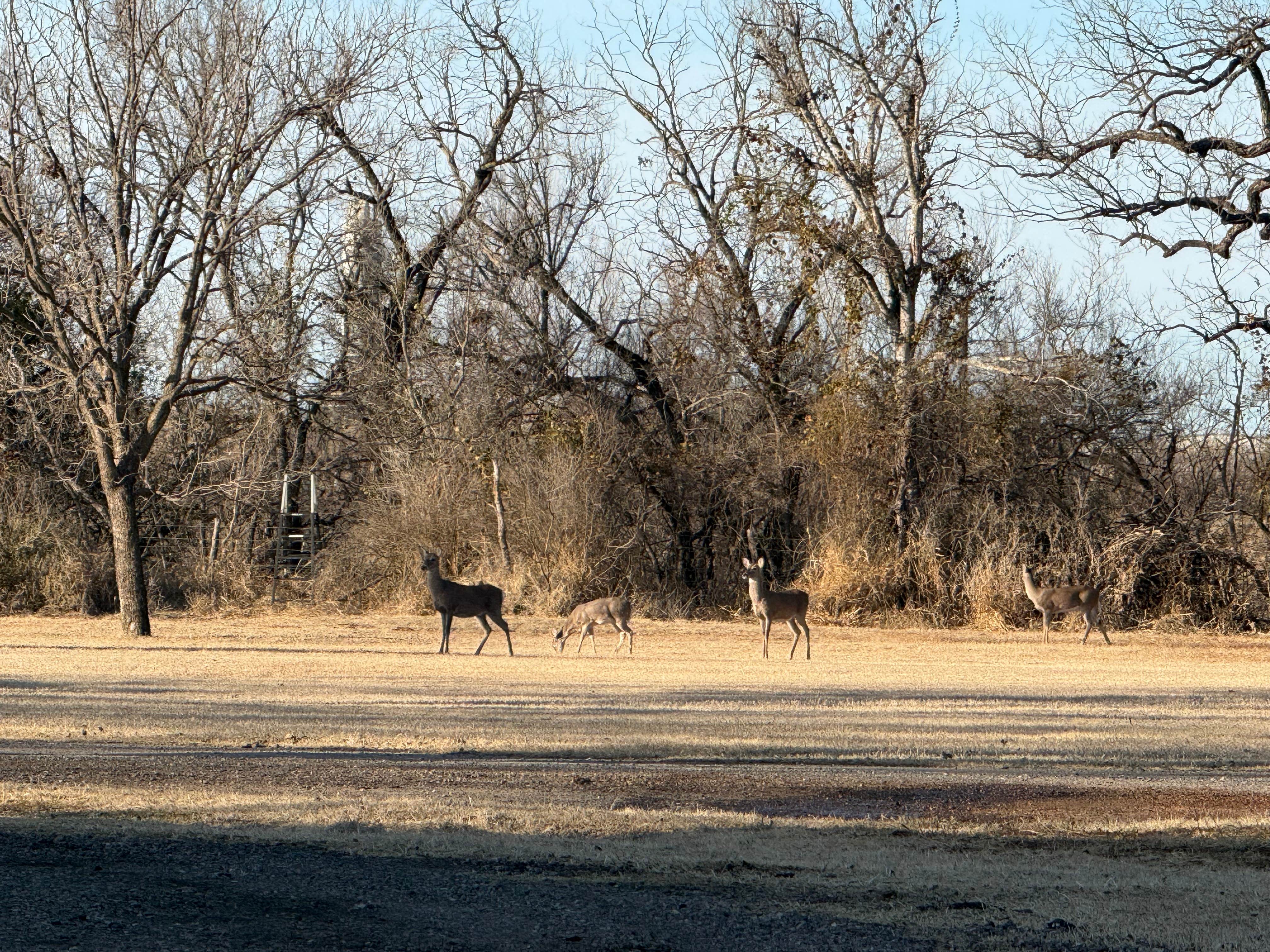 Camper-submitted photo at Fort Mason City Park near Kerrville, TX